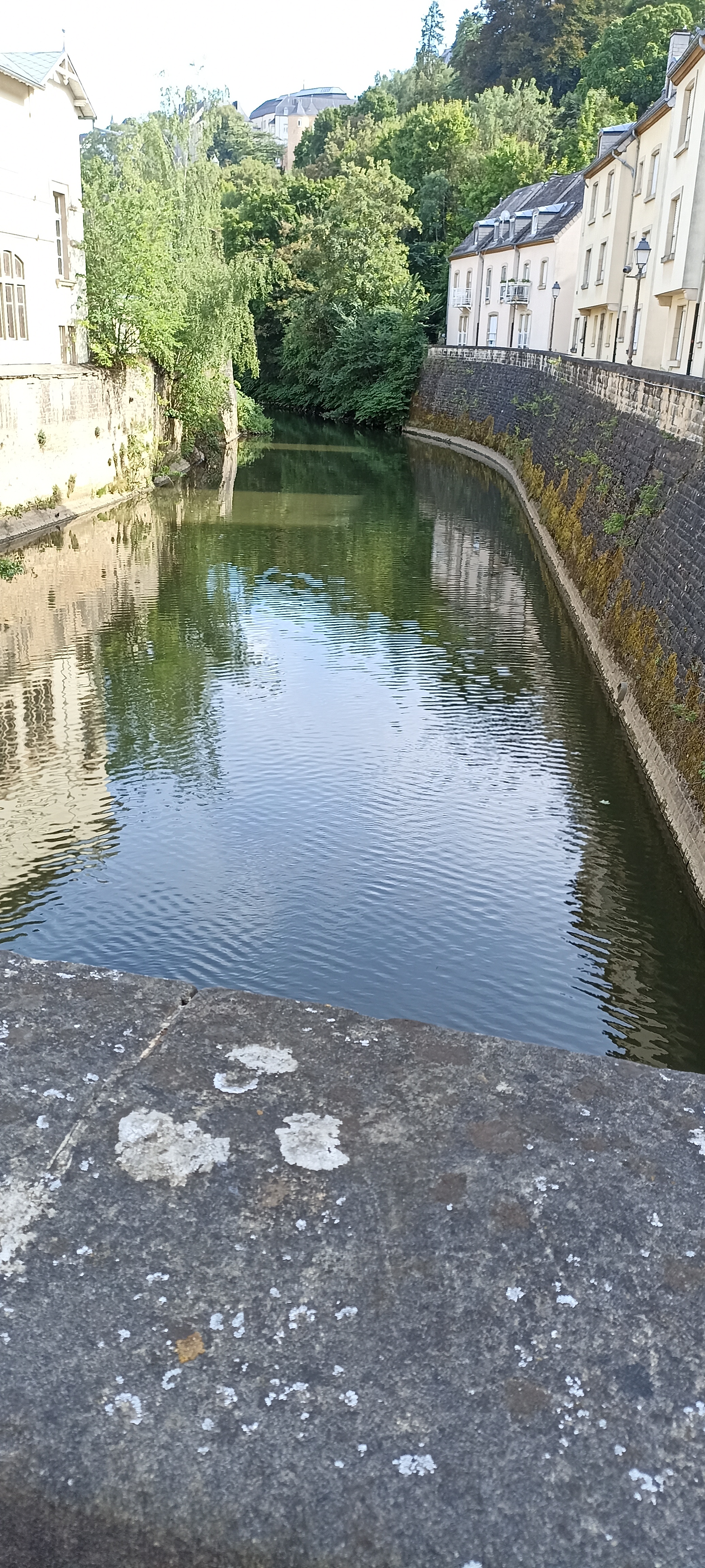 Luxemburgo