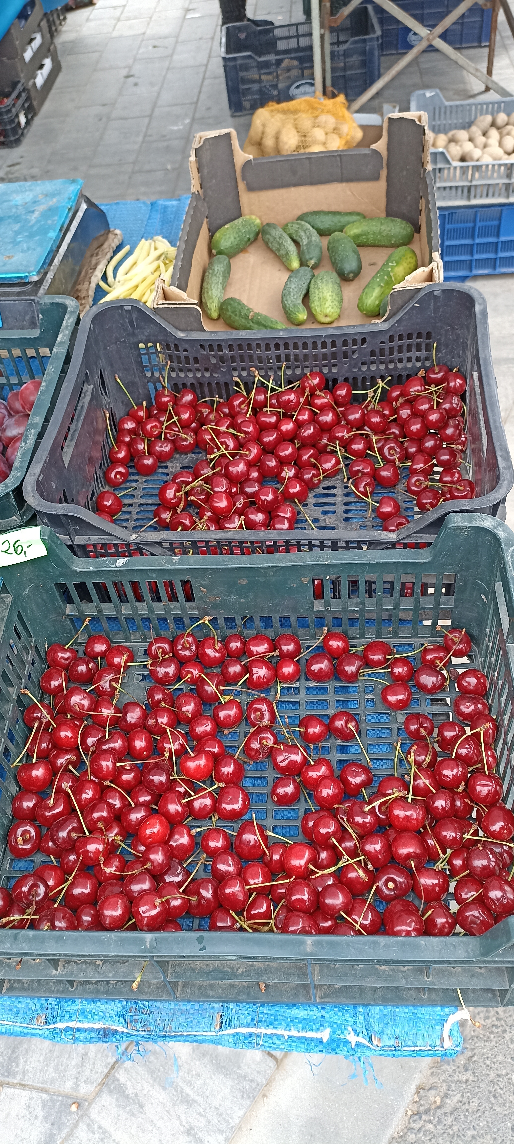 Dzialka