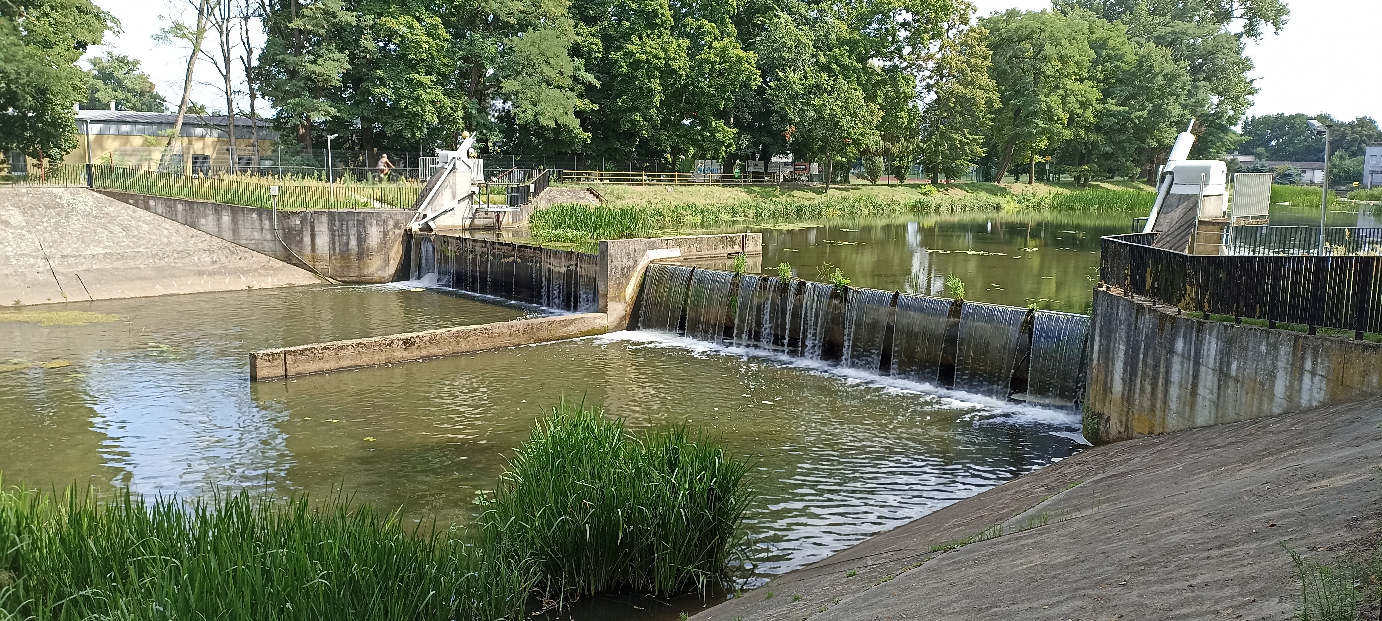 Kalisz