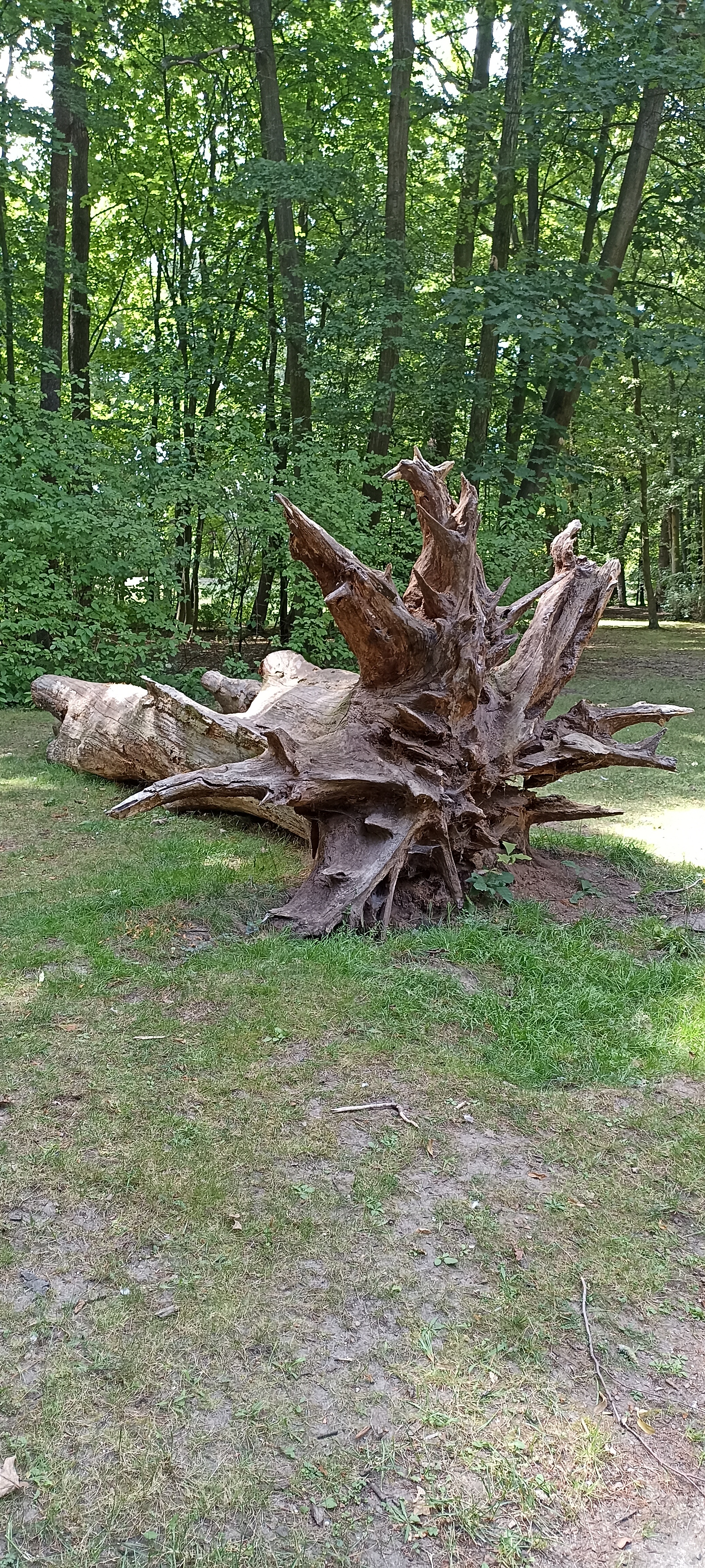 Kalisz