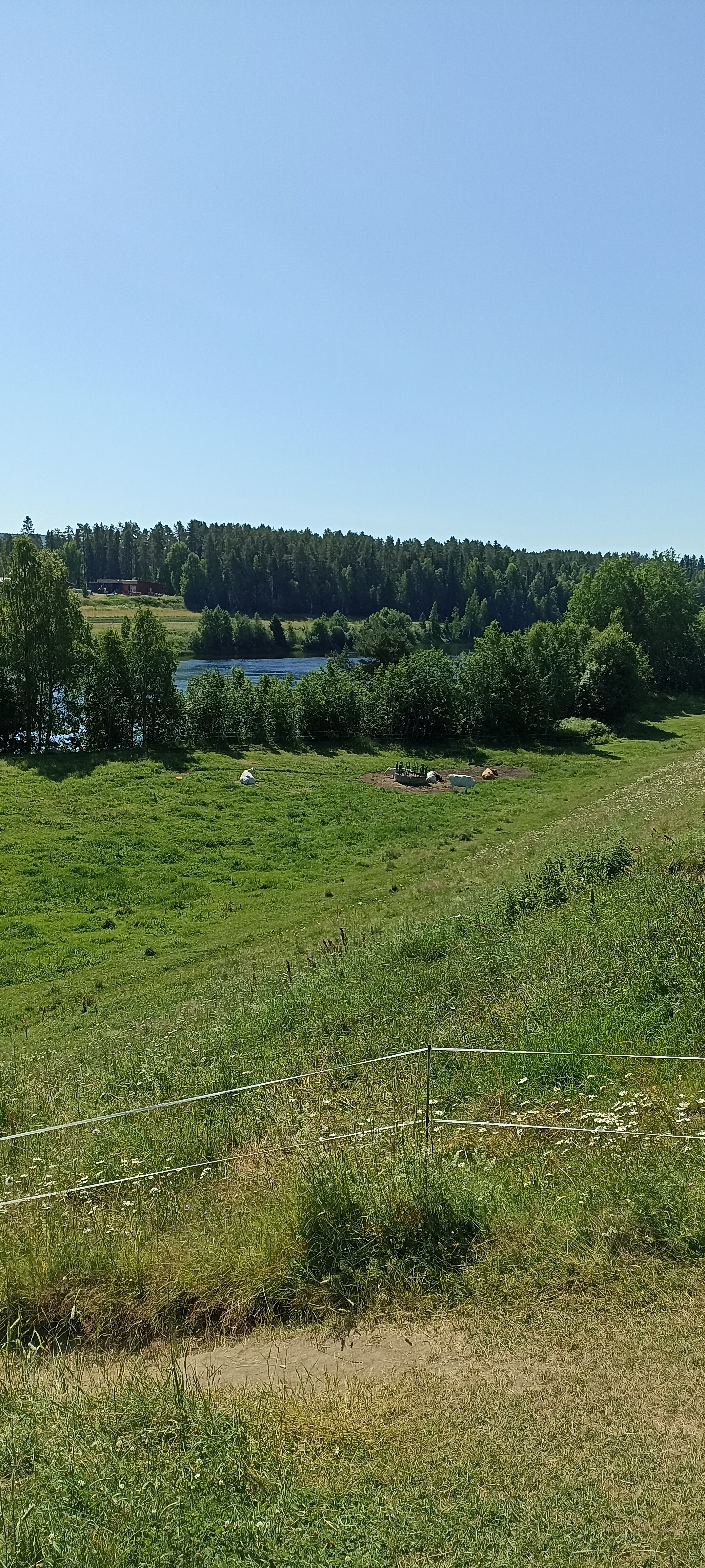 Umea