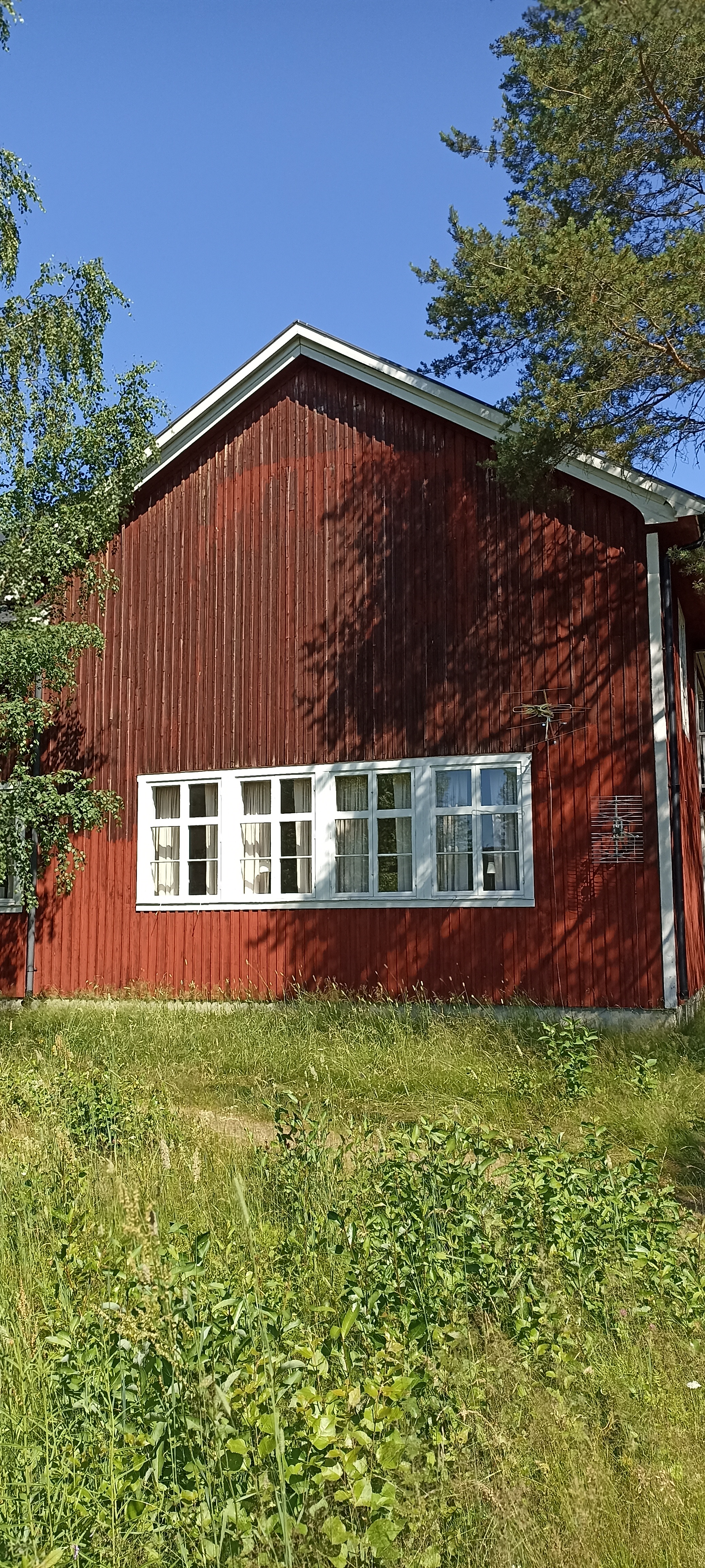 Umea