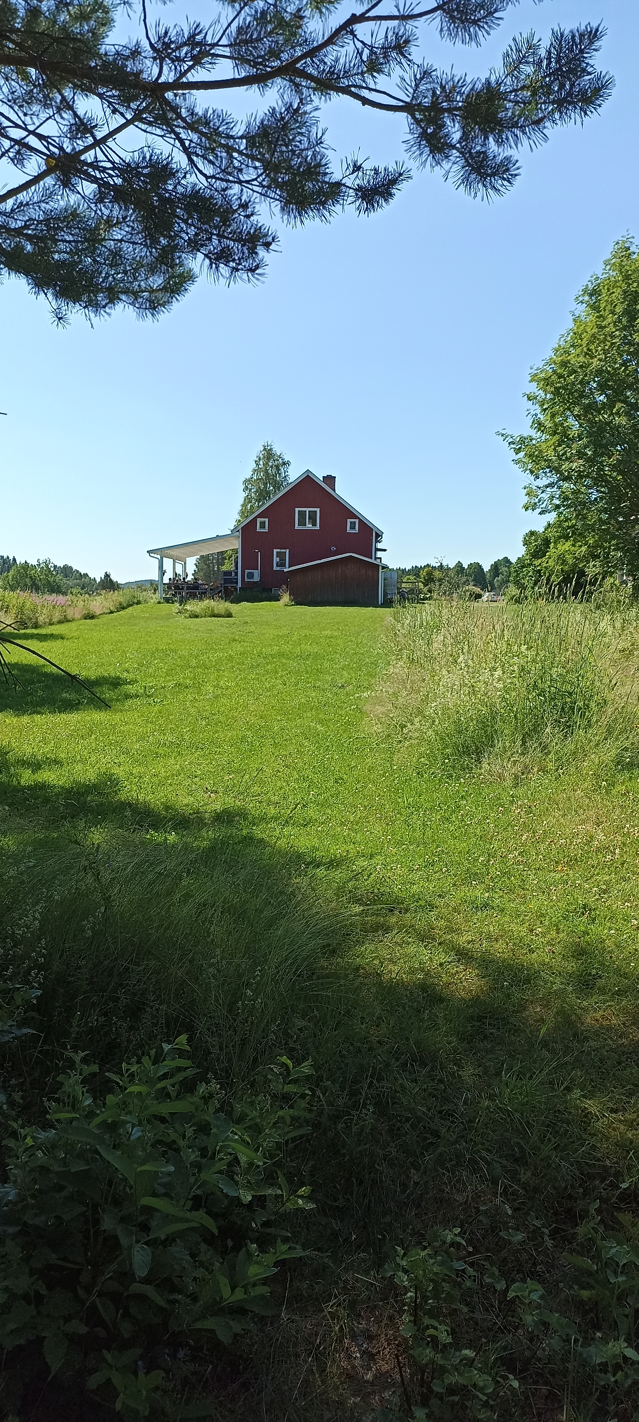 Umea