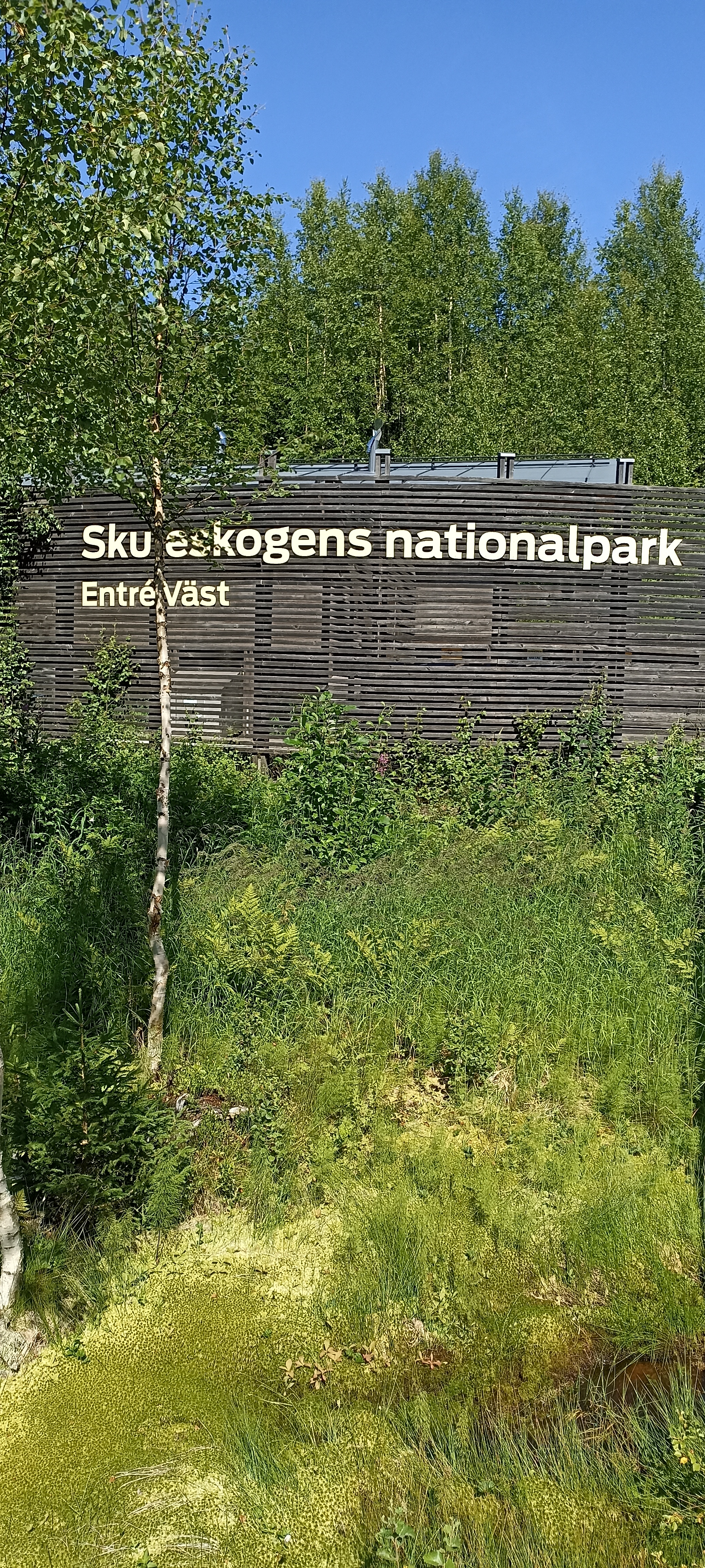 Skules