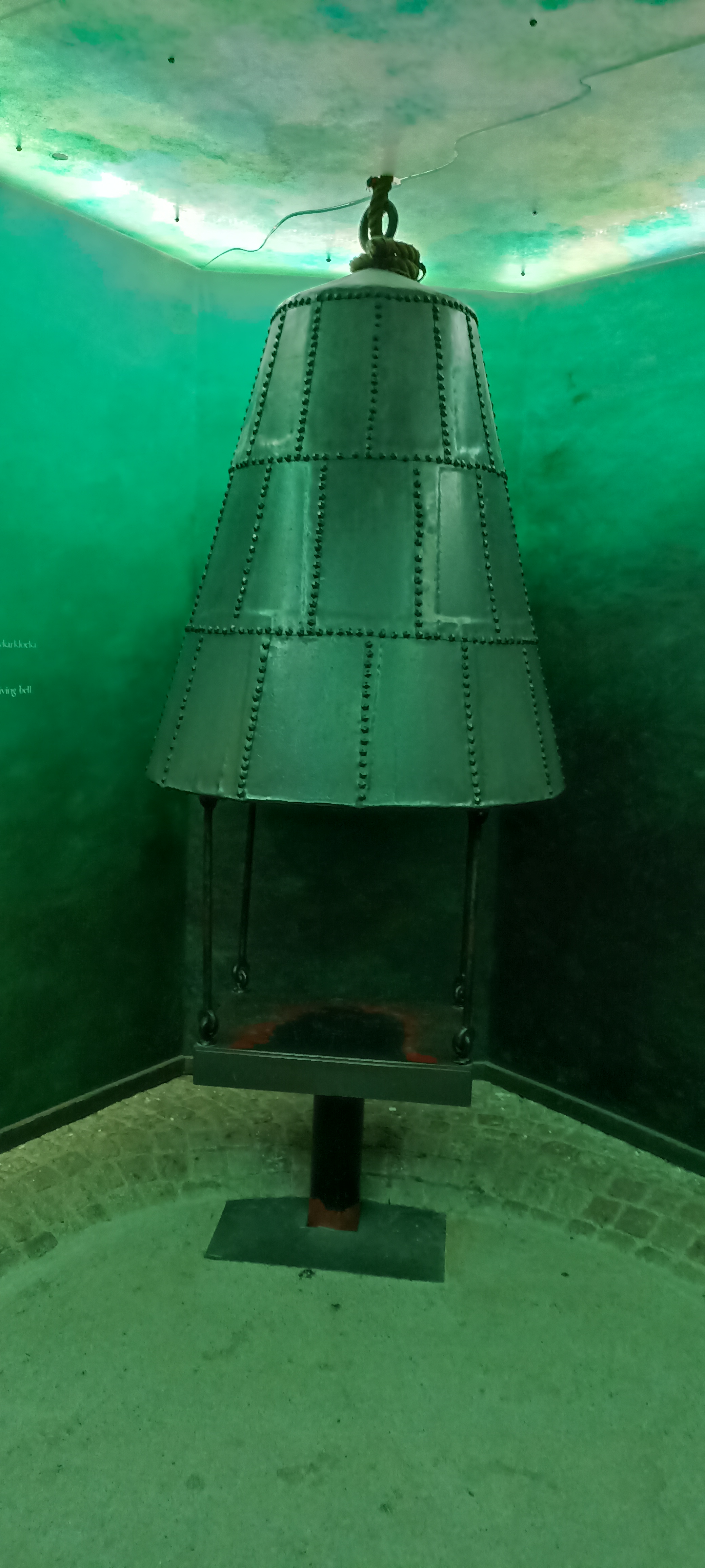 vasa