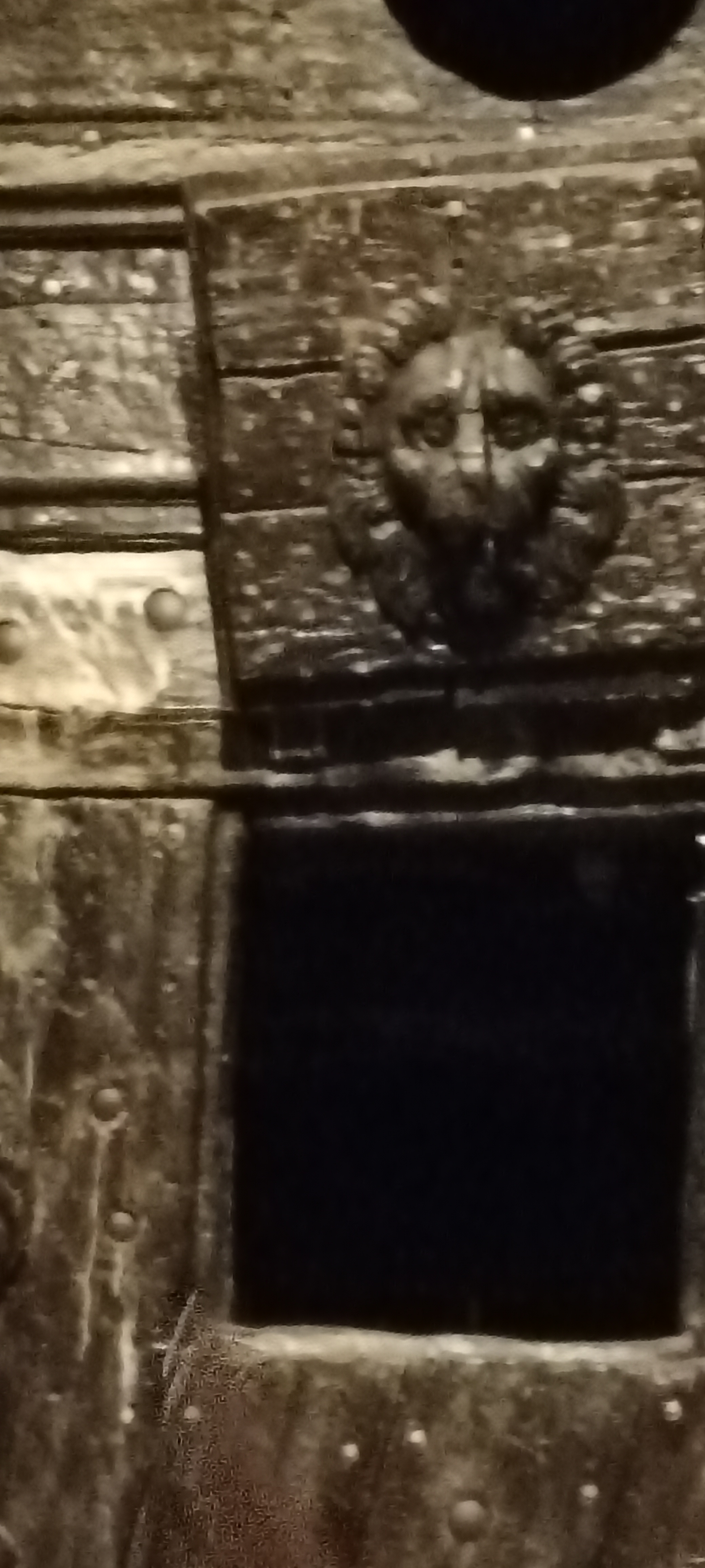 vasa